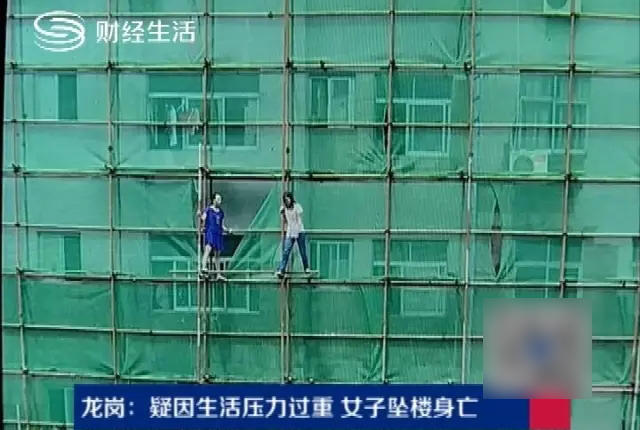 手机在线观看AV