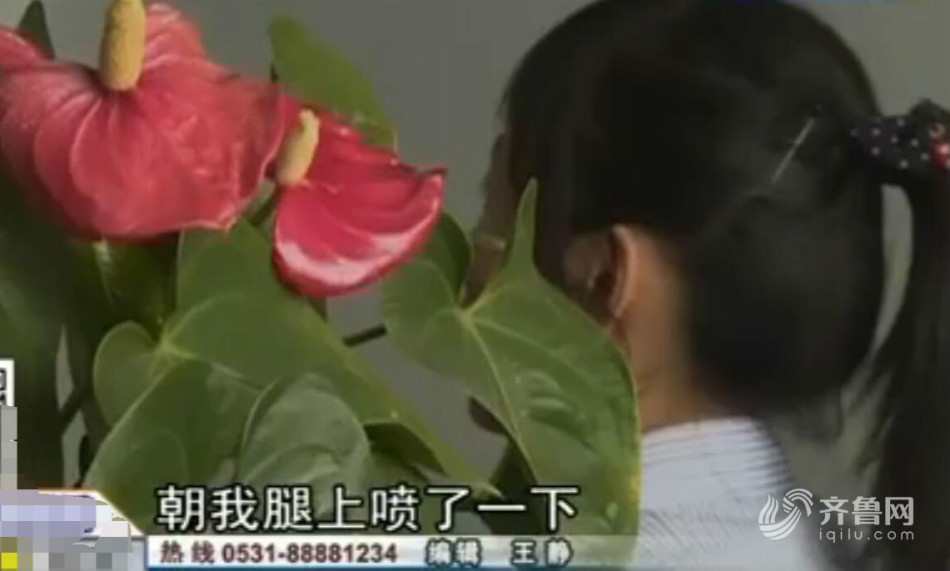 美女露100%双乳无遮挡免费