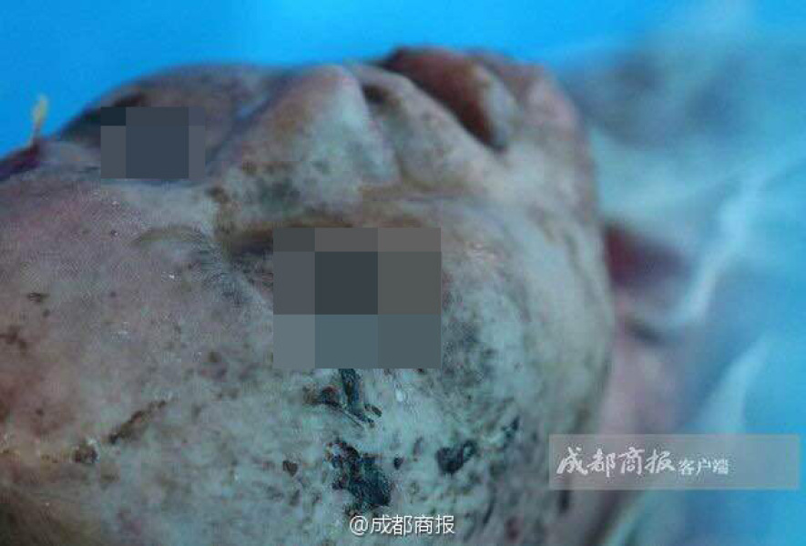 男男H黄动漫啪啪无遮挡
