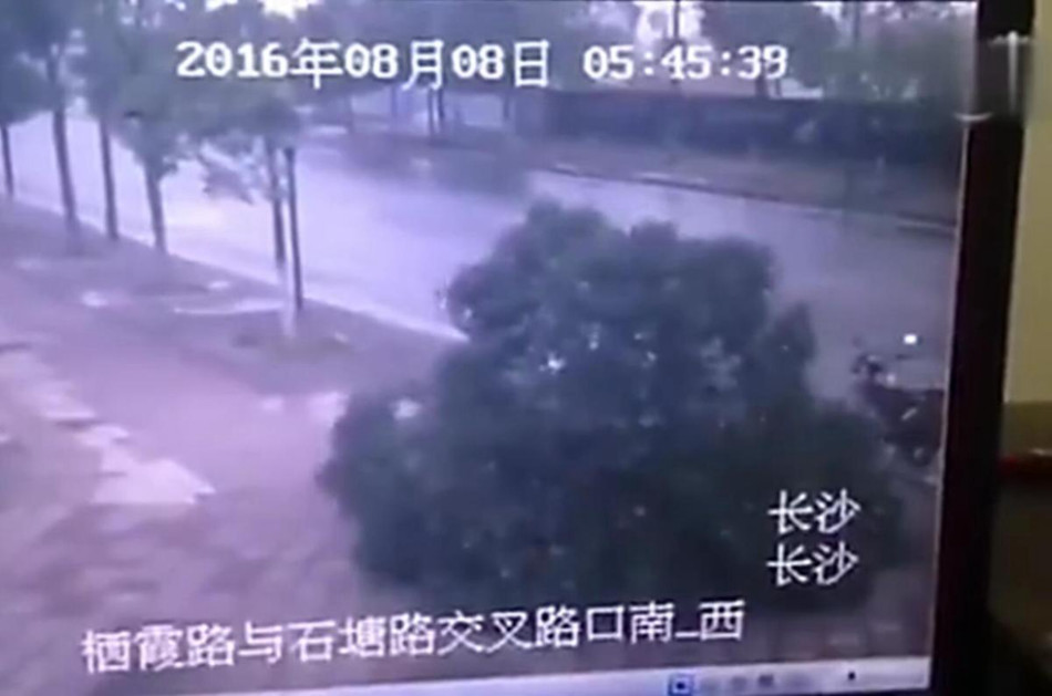 黄色播放在线播放