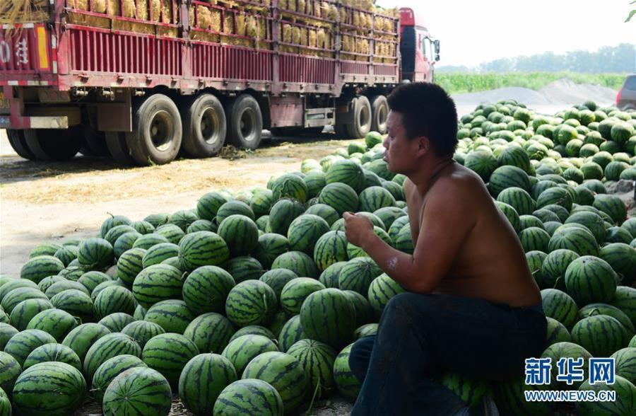 天堂自拍Av