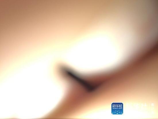 亚洲在线一区