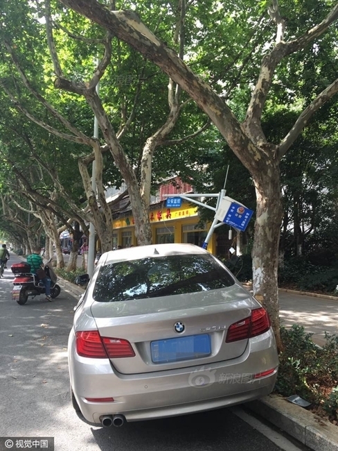 蝌蚪窝在线观看