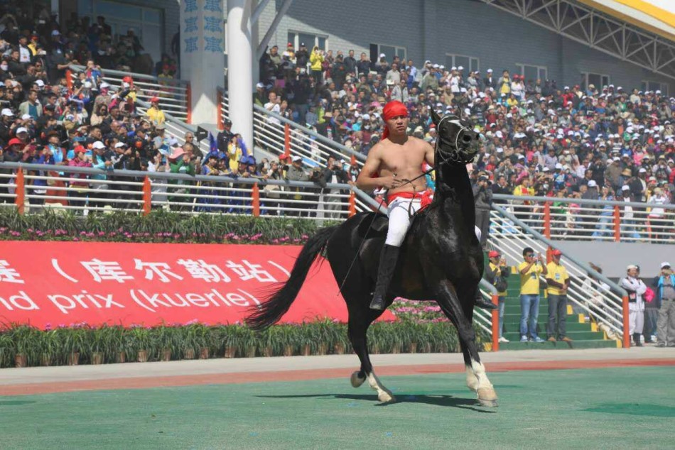 寡妇大J8又粗又大
