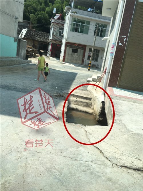 免费看裸体美女、??电影