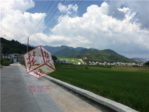 丰满少妇 麻豆av苏语棠