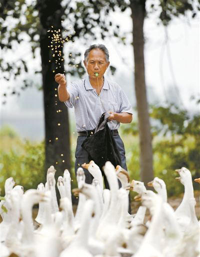 欧洲黑人巨屌综合视频