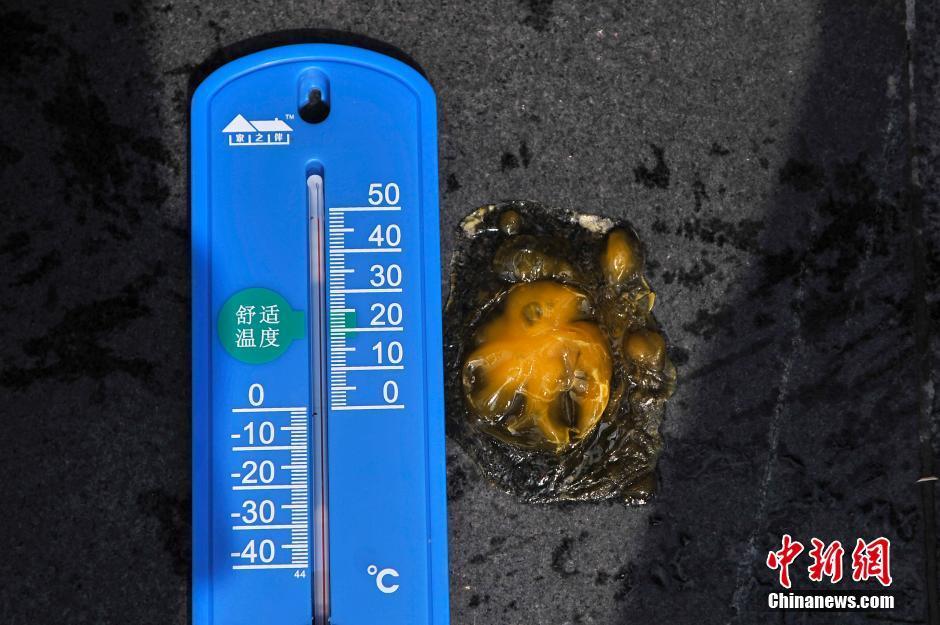 黄色网站站毛片2