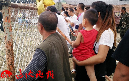 激情 性爱 视频