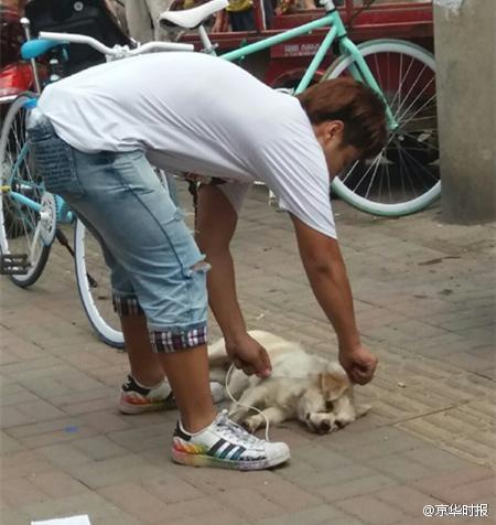欧美精品区