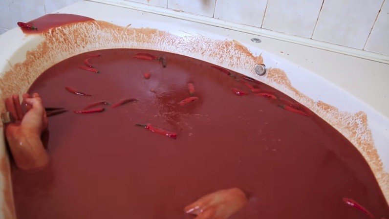 麻豆直播视频下载