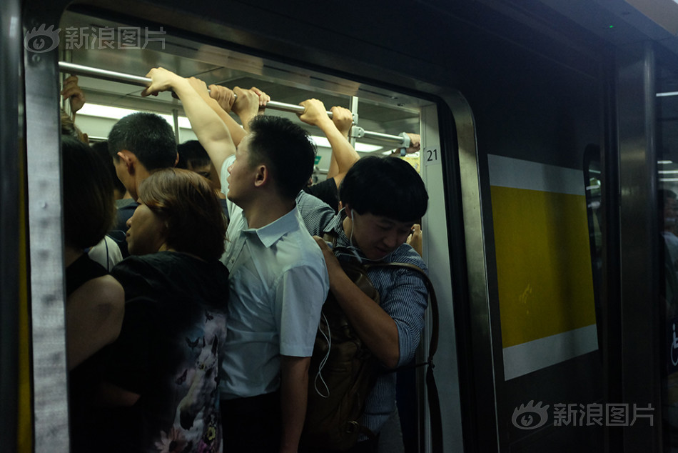 高清 色情 视频