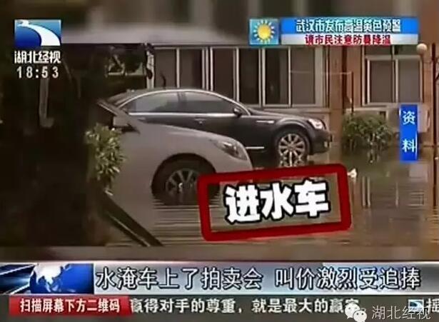 欧亚精品高清免费视频