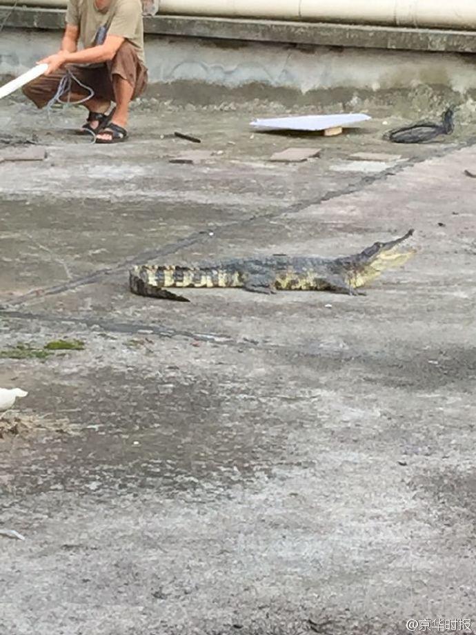 亚洲综合色色