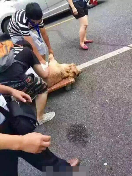 丝袜老熟女Videoshd