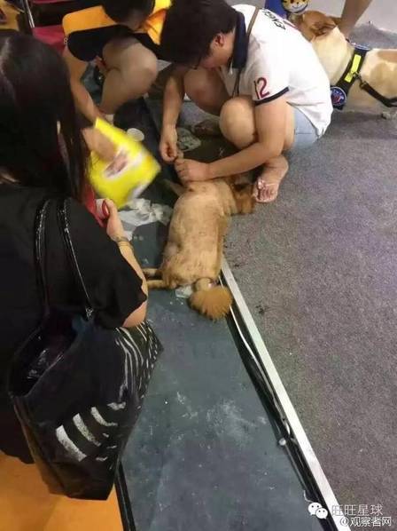 情色