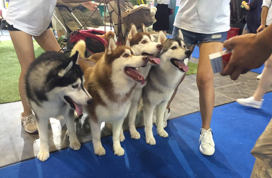 香港三级全黄做爰