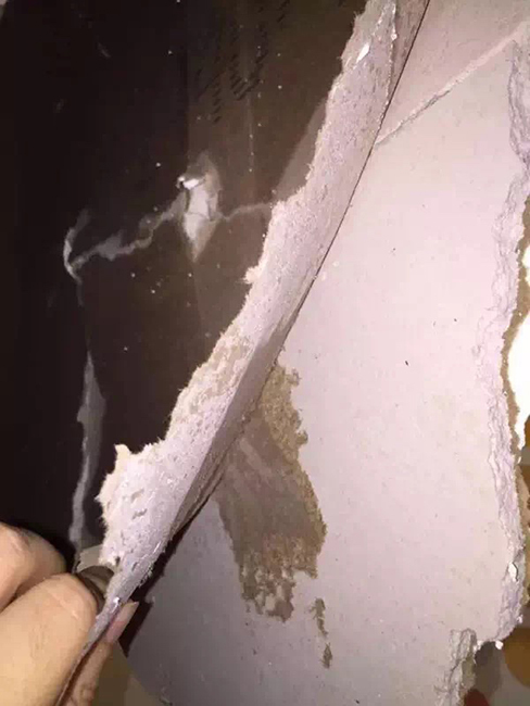 邱淑贞三级露全乳赤裸电影