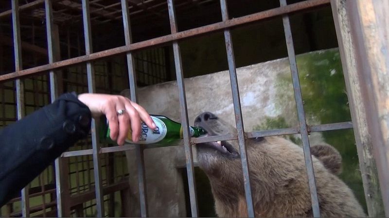 日韩黄在线黄色视频