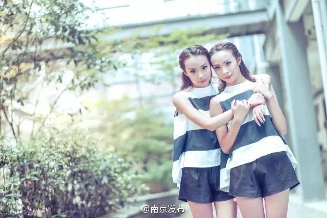 张柏芝全套无删