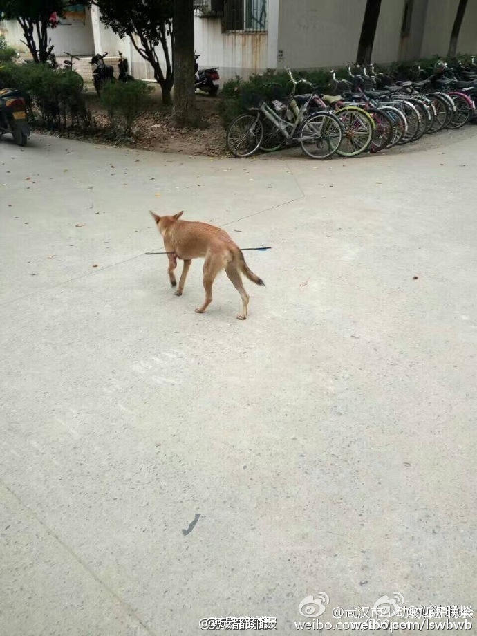 亚洲精品片