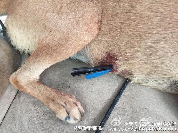 精品黄色网站在线看。
