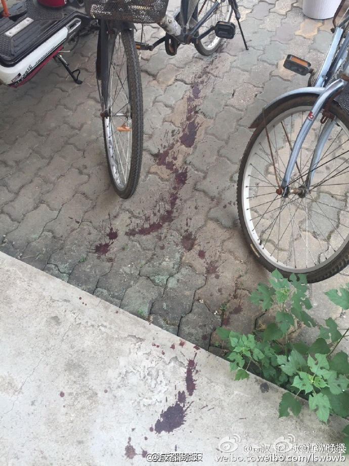 女仆扒开腿秘 让人桶爽微博