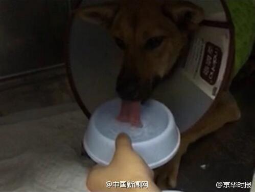 色呦呦在线
