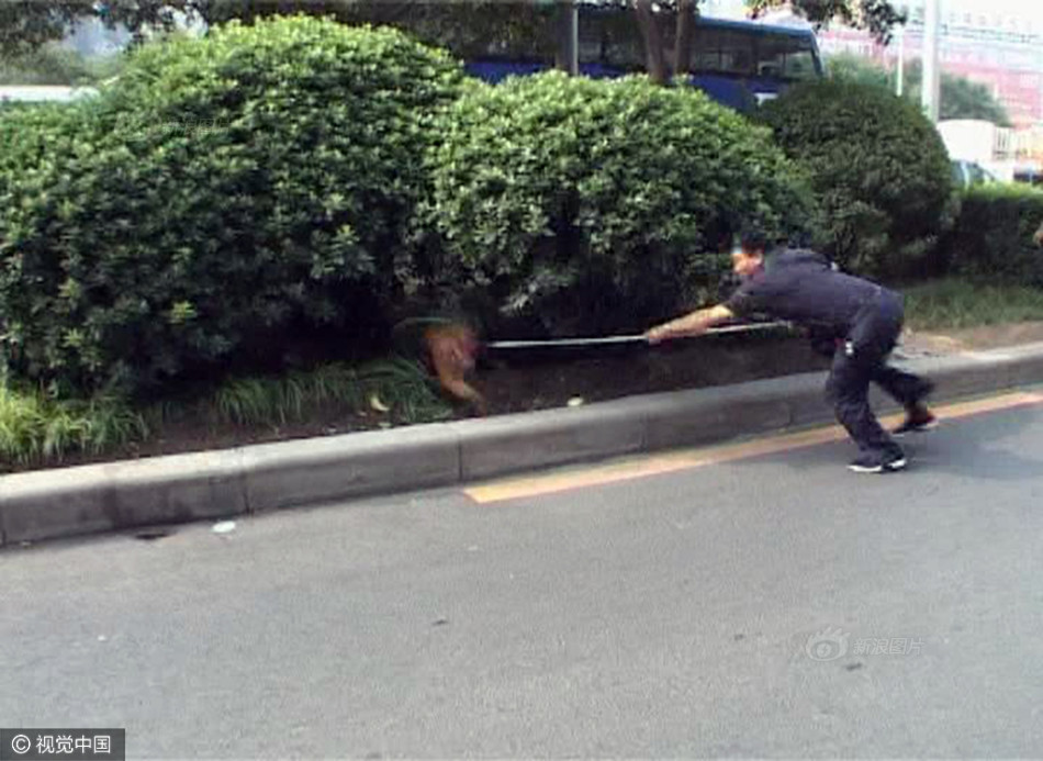 欧美成人一区二区