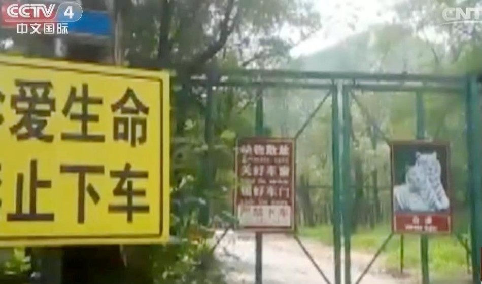 絶倫