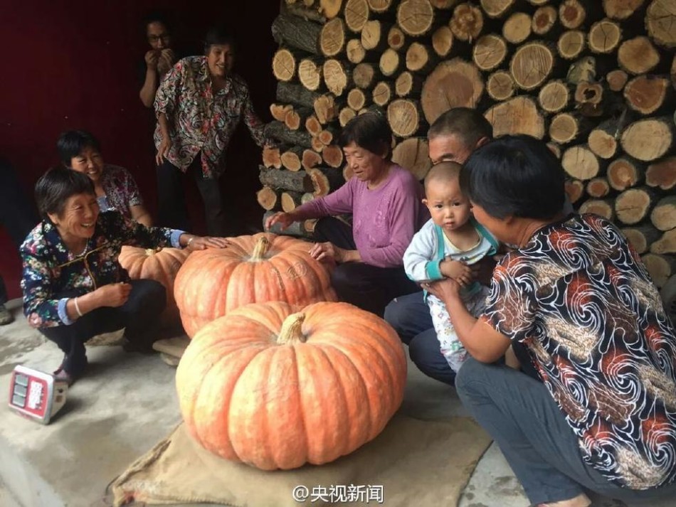 东北老妇XX 性开放老头