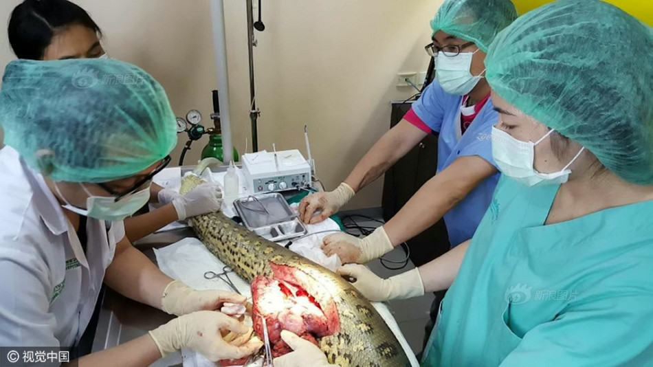 男男粗暴H啪肉动漫