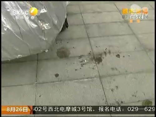 若葉加奈