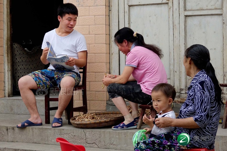李丽珍电影三级片全集免费观看高清