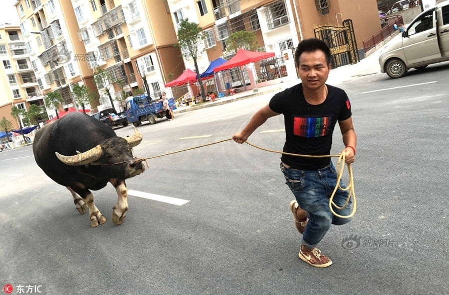 愛愛超能力