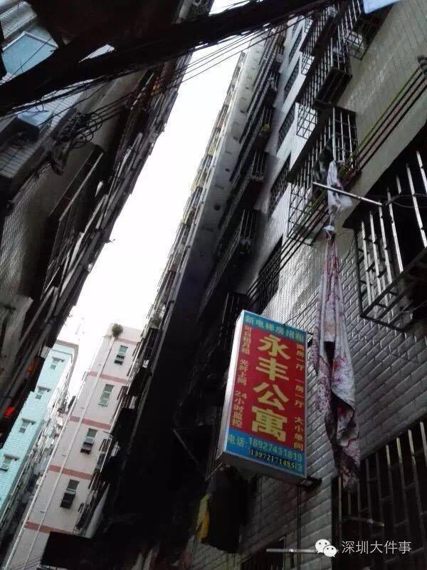美国老妇女七八十岁的逼毛多的视频