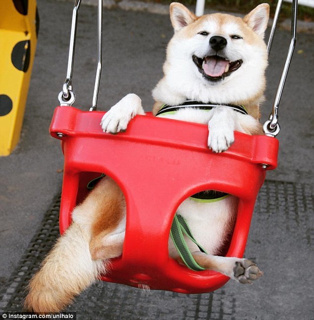 www操