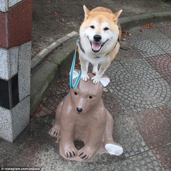 男男舔白袜