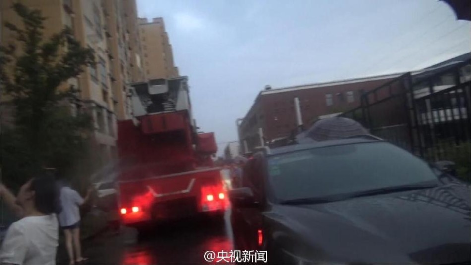 欧美人禽zOz0强交