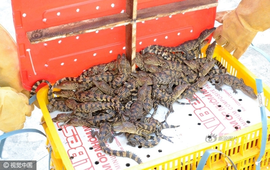 方子传