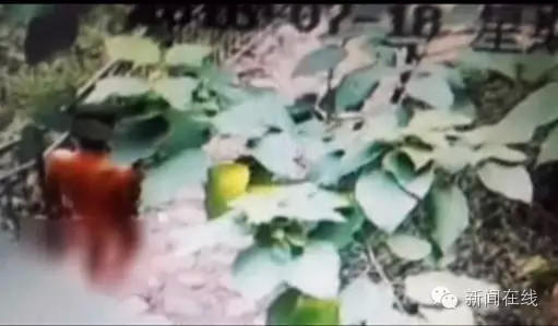 黑料不打烊,万里长征最新