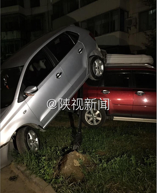 张柏芝54张无删码艳照百度网盘