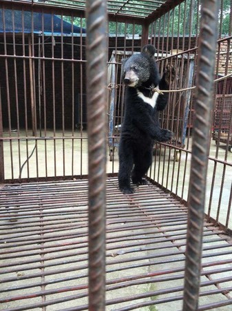 淫三级片金瓶梅电影