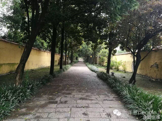 伊藤青葉