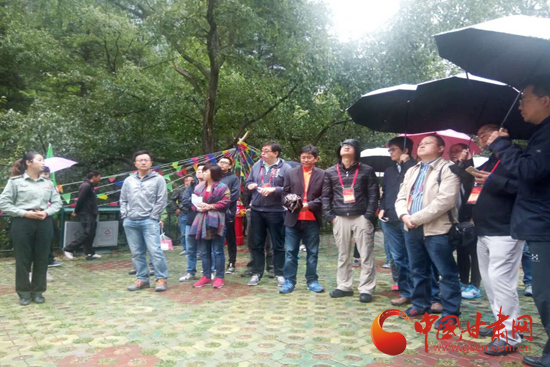 荷兰色情巜做爰强壮公牛阿德里安