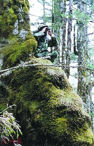 大鳥十八