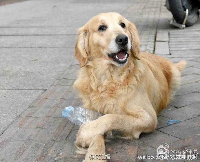 黄色网网页