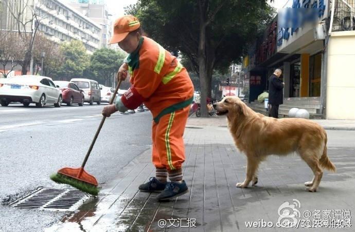 韩国三级毛