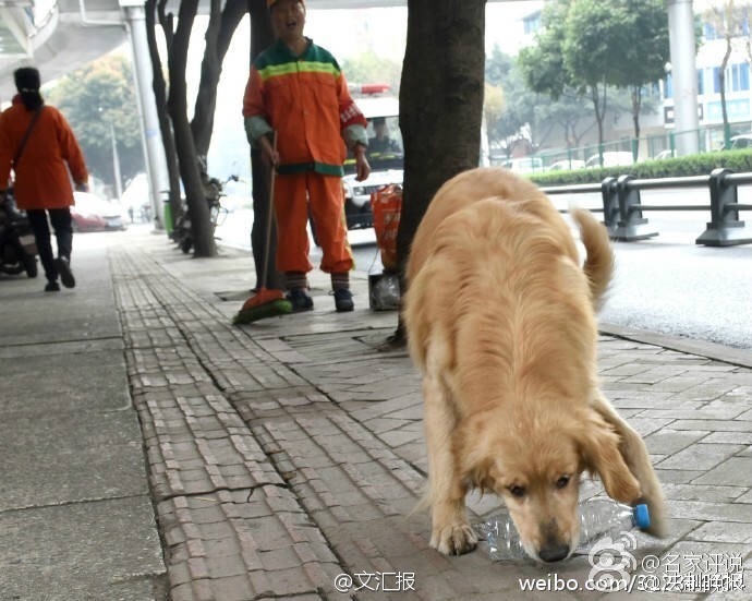 好萊塢明星
