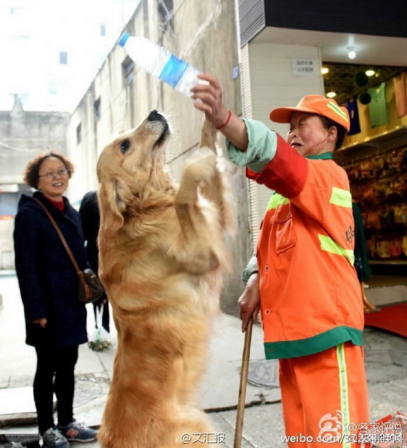 中文妈妈色情